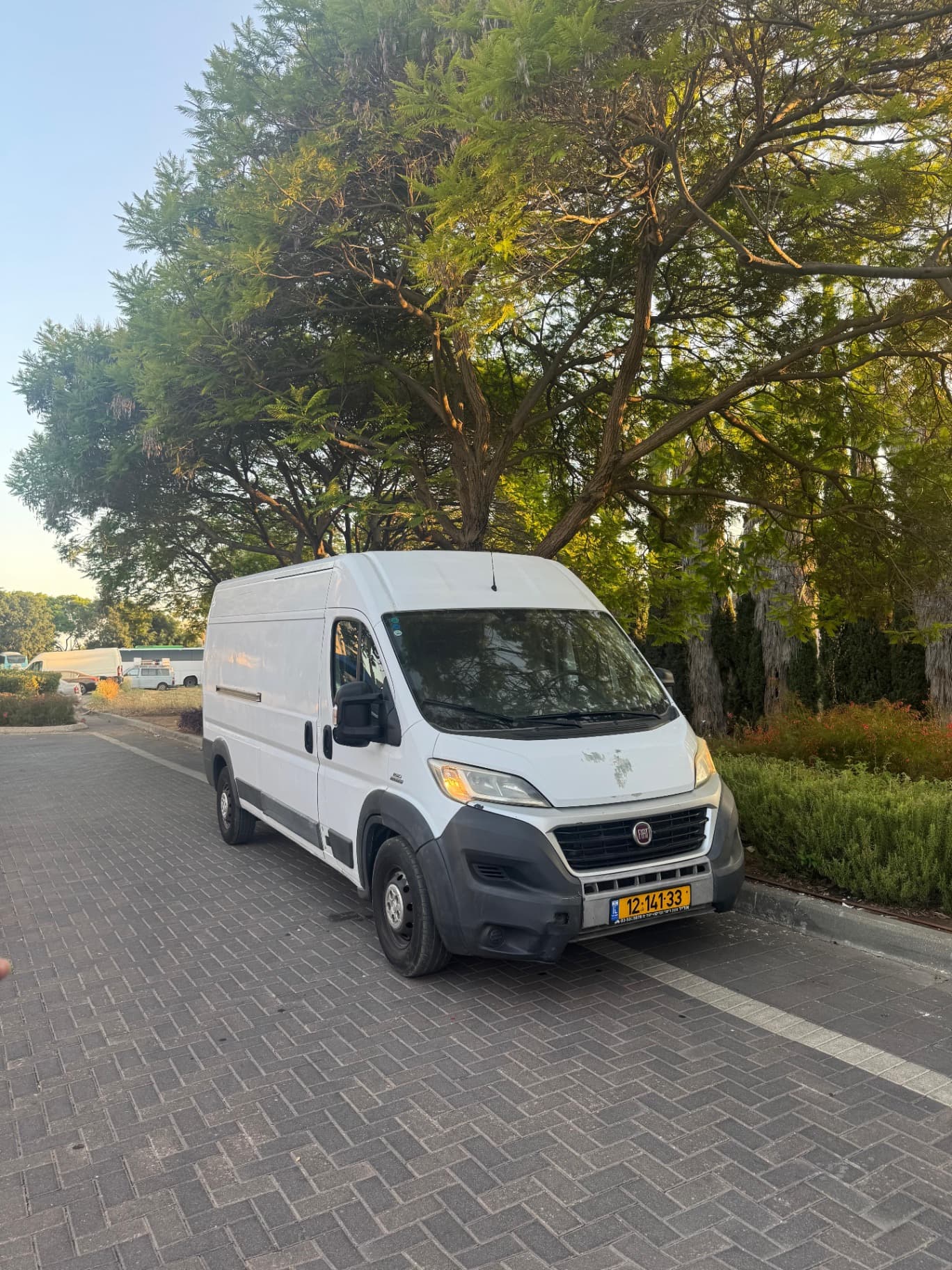 ‏דוקאטו ארוך גבוה