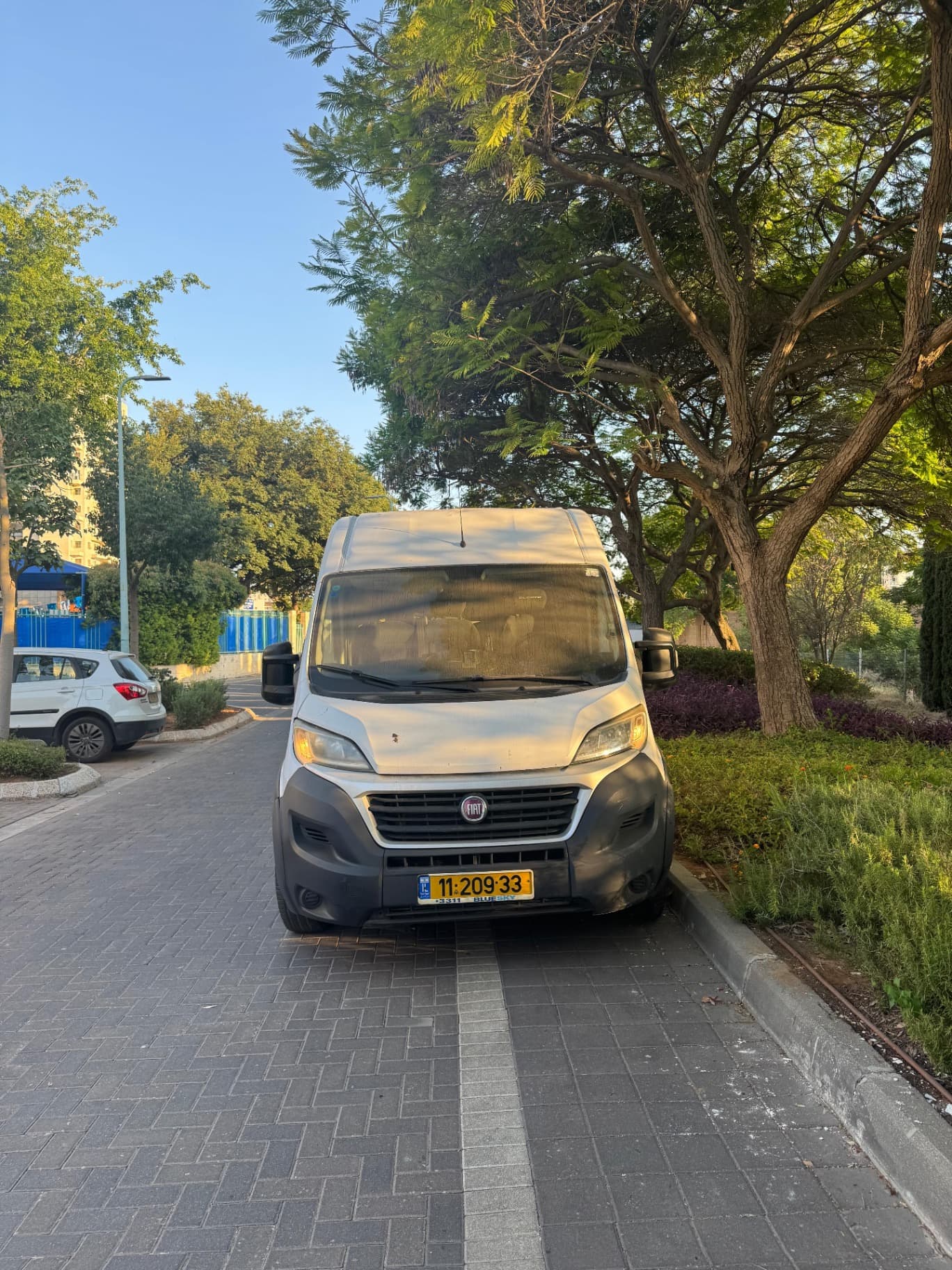 דוקאטו ארוך גבוה